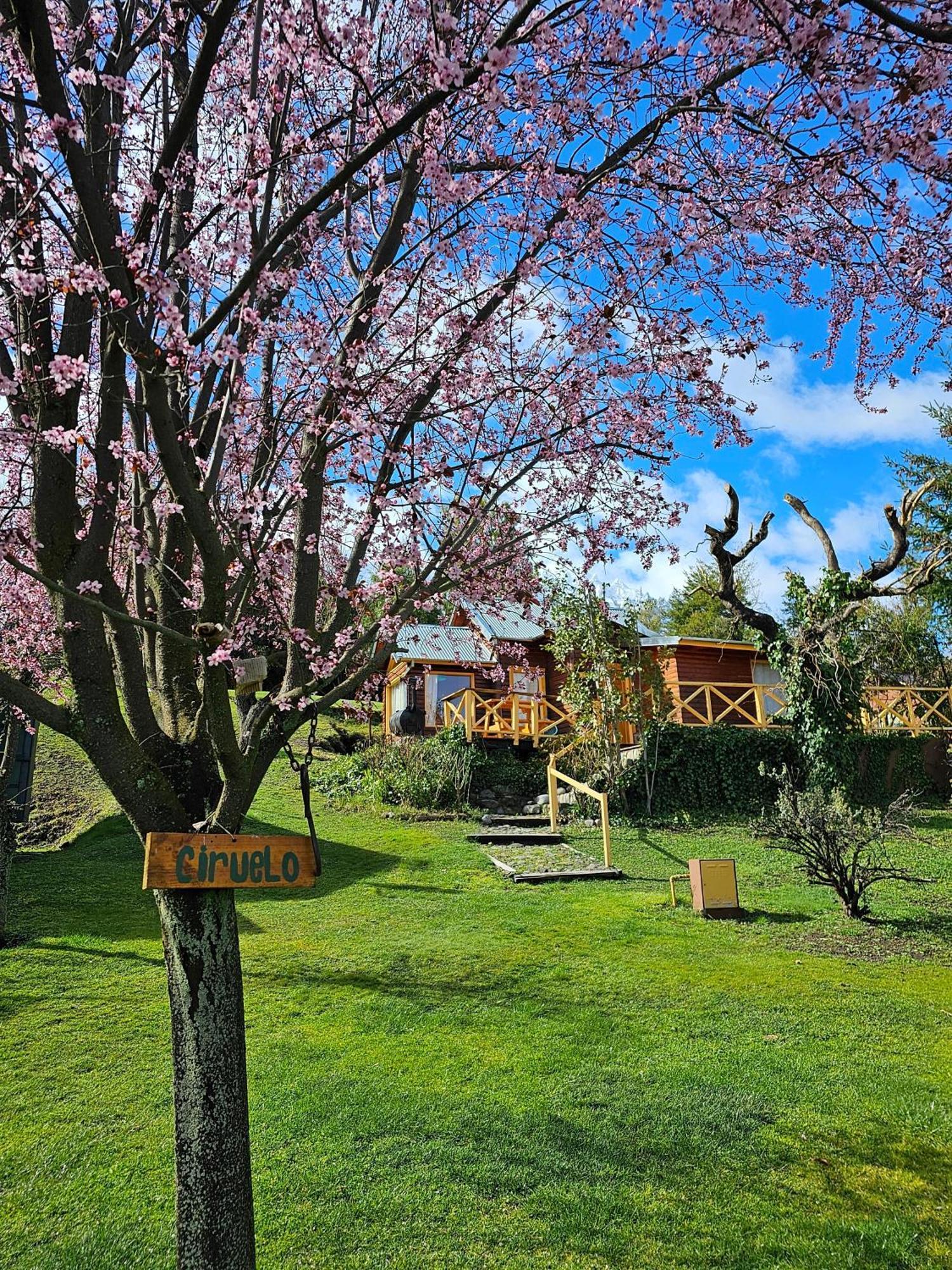La Yaya - Villa Turismo El Bolson Bagian luar foto